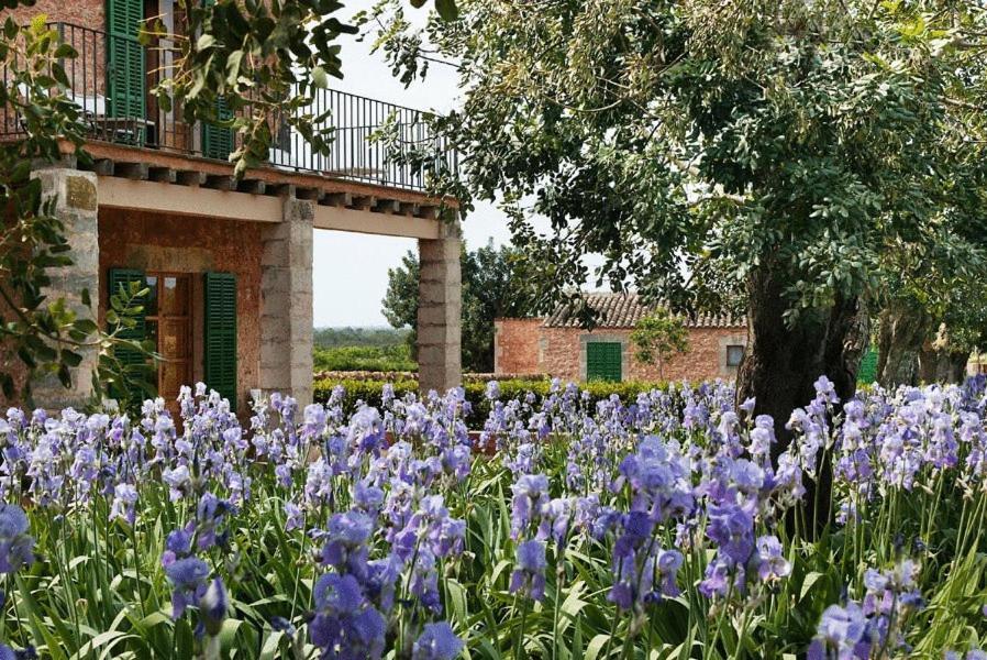 Casa Rural Son Bernadinet Campos Kültér fotó
